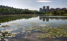 合肥市大蜀山森林公園南湖：綜合治理，再現美麗湖景