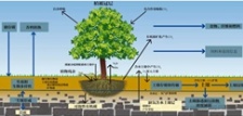 什么叫總有機碳TOC?