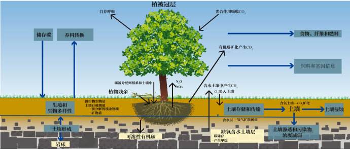 總有機碳TOC